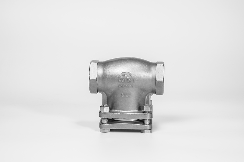 Check Valve 